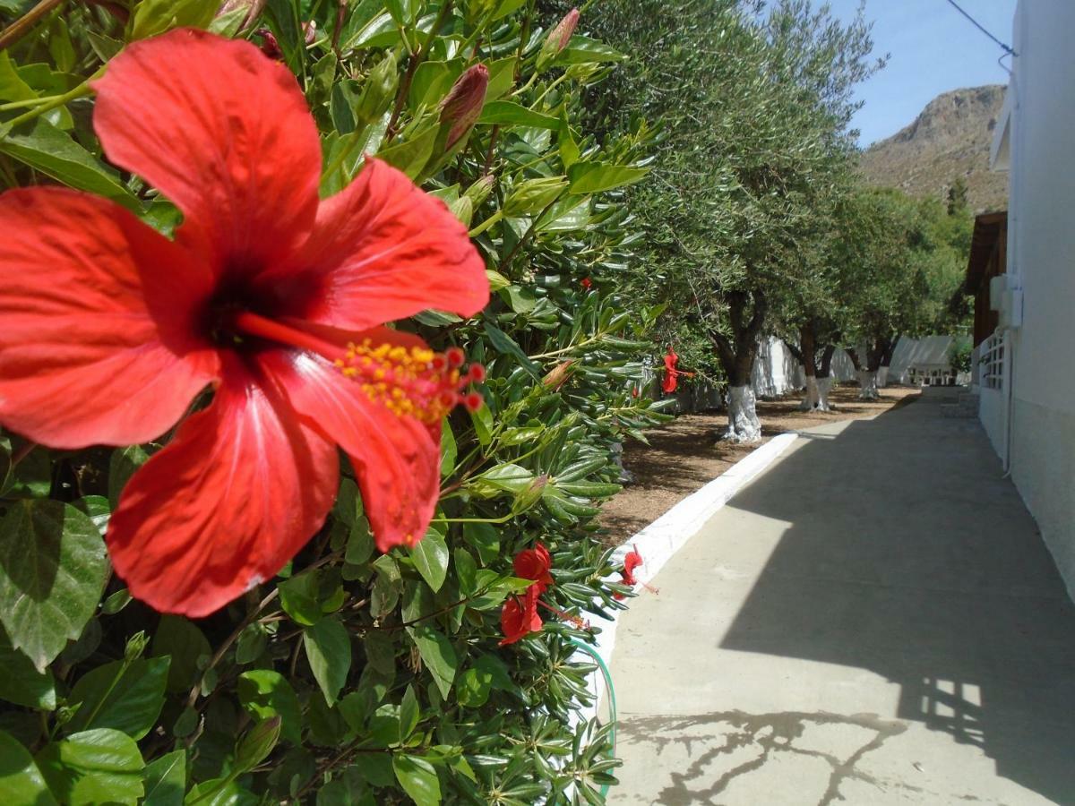 Leros Eleonas Apartments 알린다 외부 사진